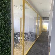 What is tinted tempered glass used for in construction projects?