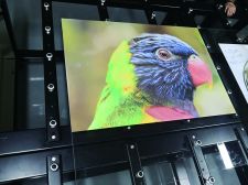 Custom Printed Tempered Glass Panels | Decorative Digital Glass